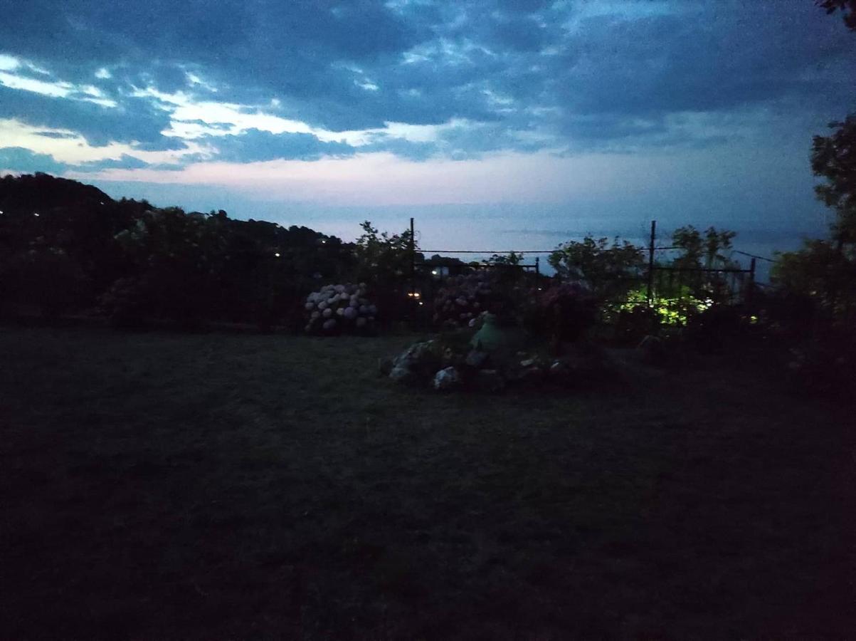 Diogenis Hotel Цагарада Экстерьер фото