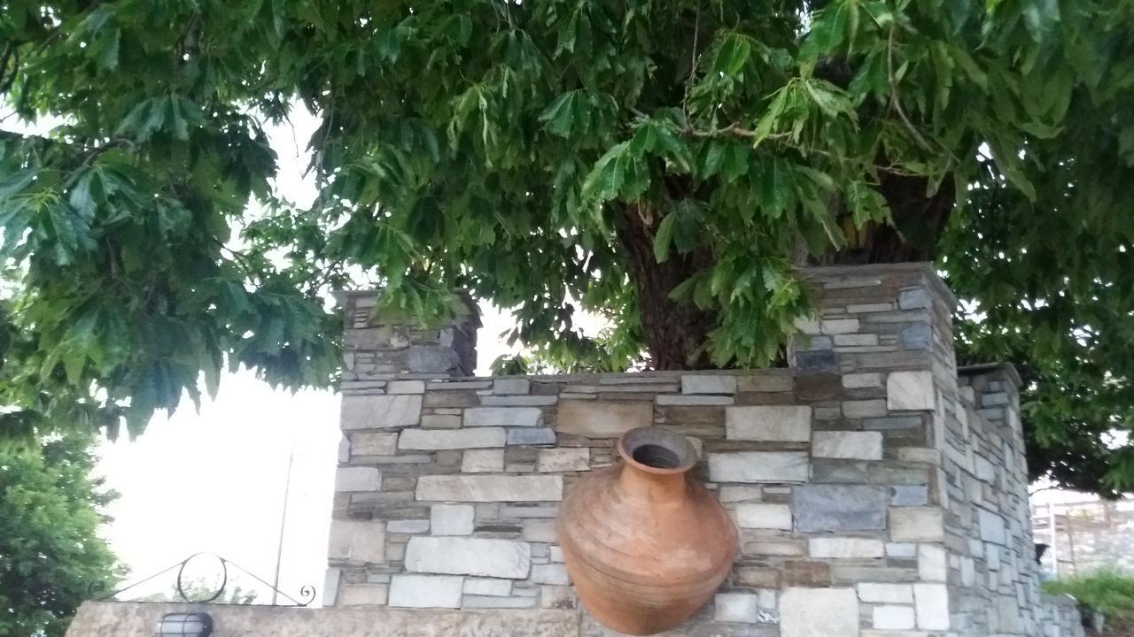 Diogenis Hotel Цагарада Экстерьер фото